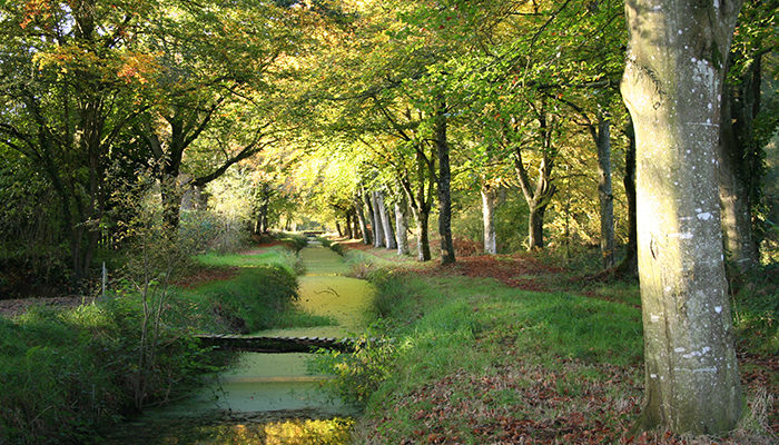 Dingé Rigole du Boulet Bretagne romantique