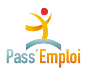 pass emploi